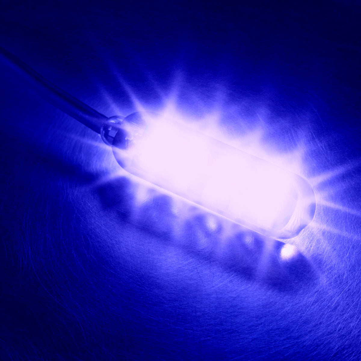 Magnetic LED Rock Lights LUX Lighting Systems Brightest Monster Blue